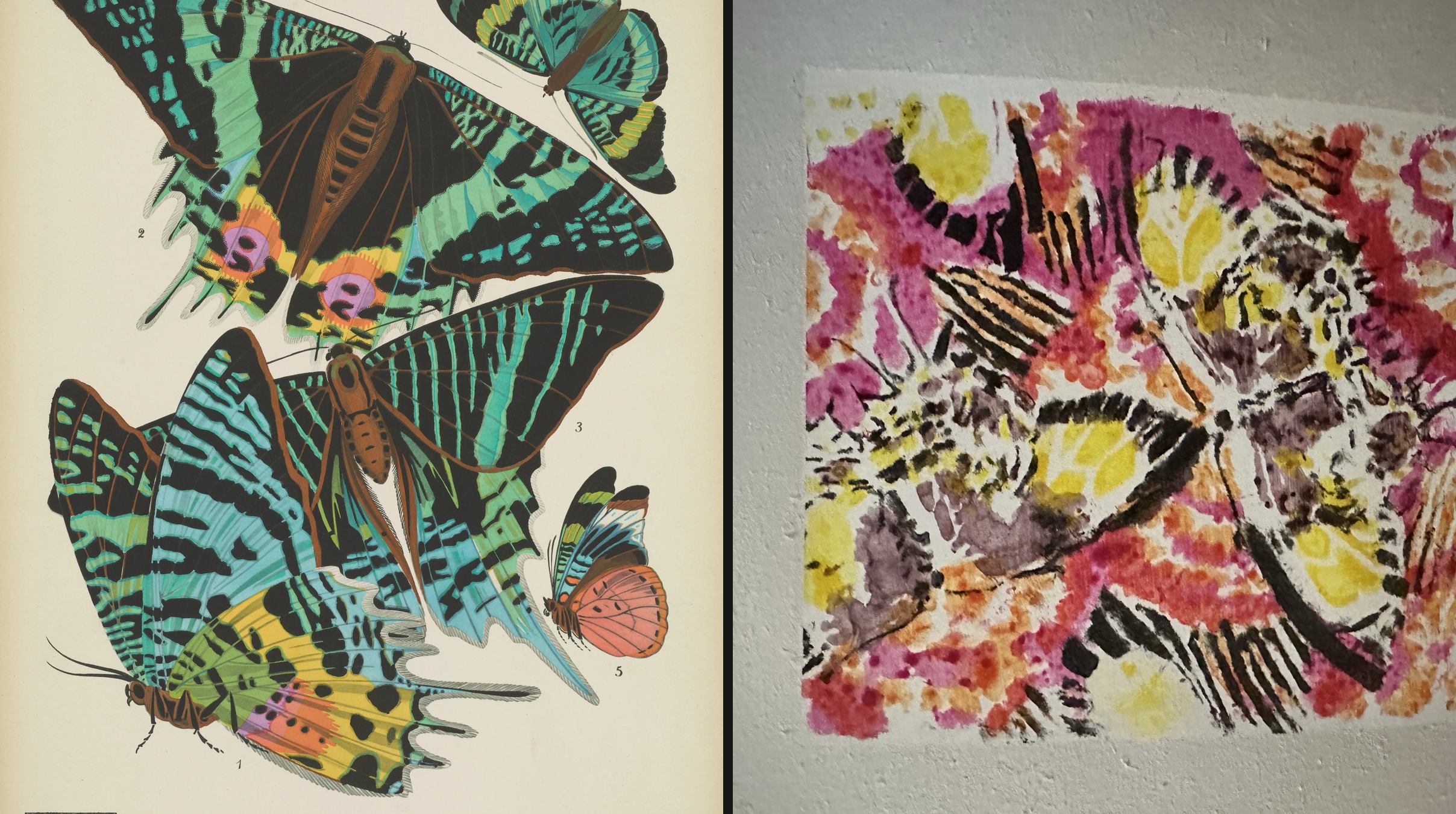 E. A. Séguy’s colourful butterfly plate beside an Artistic Disorder painted response